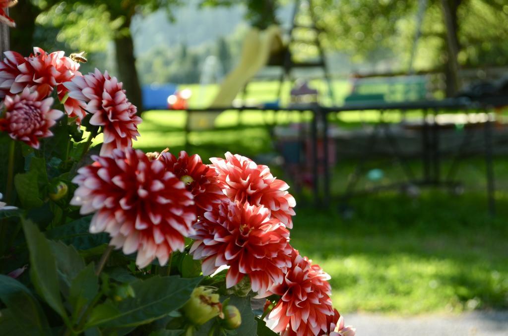 Pension Grafengut Radstadt Dış mekan fotoğraf